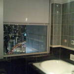 ザ・プリンス - 