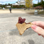 鯛焼本舗 遊示堂 - シッポまであんこがぎっしり✩.*˚