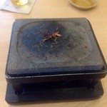 桜あん - Ｈ25.05　桜海老の石焼完食