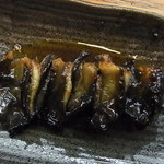 かぶと - しっぽ