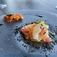 International cuisine subzero - 