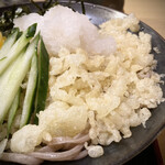 Soba Dokoro Yamazaki - 半玉冷やしたぬき蕎麦