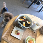 107cafe+dogs - 