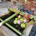 すき焼き キムラ - ステキ