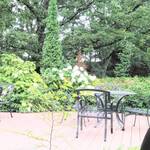 イタリア料理 ルッチコーレ - 