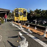 かとれあ - 電車が来るから飛び立つ