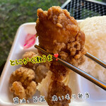 Karaage Hompo Daruma - 