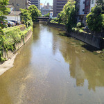 会楽園 - お店の裏手を流れる坪井川。熊本城の内堀としても流れる川なんですね。へぇ～。