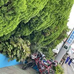 コウジ サンドイッチ - 駐輪場