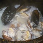 SEN之屋 厳鮮素材厨房 - ムール貝とアサリの酒蒸し
