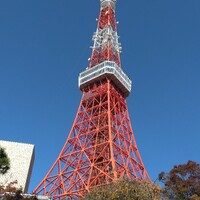 東京 芝 とうふ屋うかい - 
