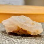 はっこく - 2022.9.  白海老