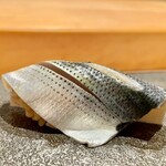 はっこく - 2022.9.  小鰭