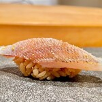 はっこく - 2022.9.  春子鯛