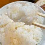 カジュアル食堂 レスト アドル - 