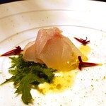 aceto - アオハタ