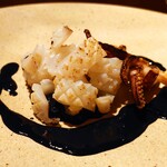 aceto - アオリイカ