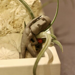 プレゼンテ スギ - 