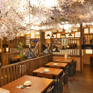 天花板上有華麗的櫻花SNS的店內設有日式坐席和半包間