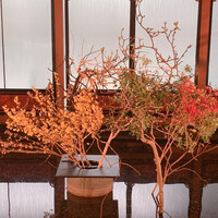 New American Grill “KANADE TERRACE” - 