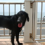 タベルナ ロンディーノ - 2009/07 