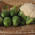 おにく 花柳 - 野菜・芽キャベツ