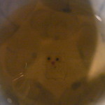 おにく 花柳 - お茶