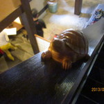 たねや日牟禮茶屋 - 階段に亀さん♪