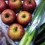 とべ日曜市 - この日購入したお野菜等です