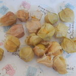 松原農園 - ほおづき