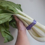 松原農園 - タイナ