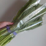 松原農園 - 野沢菜