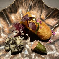 TOSAGE - 