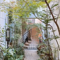 中國名菜 龍坊 代官山店 - 