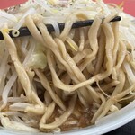 ラーメン もっけだの - 2022.11限定『塩トマトラーメンニンニク野菜マシマシ』の麺