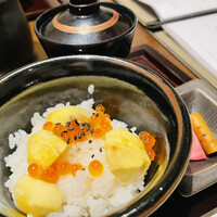 神楽坂 SHUN 分家 - 