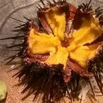 さかなや - 生うに