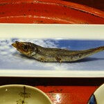 草喰 なかひがし - めざし