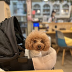 サッカバッカ - ちょっと驚いているｗｗｗ