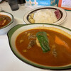カレー魂 デストロイヤー 西線14条
