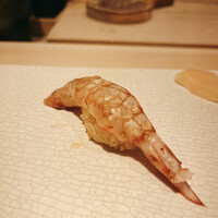 すし寿 - クルマエビ  にぎり