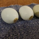 田子たまご村 - 