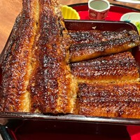 炭焼 うな富士 有楽町店 - 圧巻の鰻
