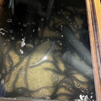 うなぎのしろむら - 