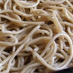 小樽・蕎麦屋・籔半 - 藪半 「地物粉蕎麦」