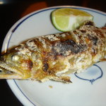 ほねラボラトリー - 鮎塩焼Up