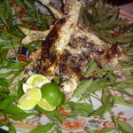 ほねラボラトリー - 鮎塩焼