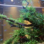 お料理なかき - 