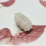 鮨 井上 - ヤリイカ