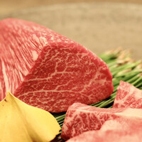 USHIGORO S. SHINJUKU - 